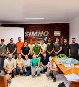 cipemmt__2026-08-17T152309.000Z_0