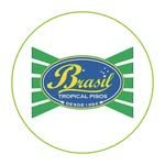 Brasil Tropical Pisos Logo Site FNBF